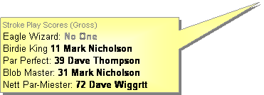 Rectangular Callout: Stroke Play Scores (Gross) 
Eagle Wizard: No One
Birdie King 11 Mark Nicholson
Par Perfect: 39 Dave Thompson
Blob Master: 31 Mark Nicholson
Nett Par-Miester: 72 Dave Wiggrtt